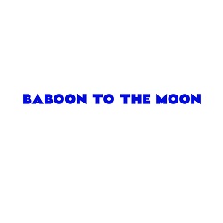 baboon to the moon discount code